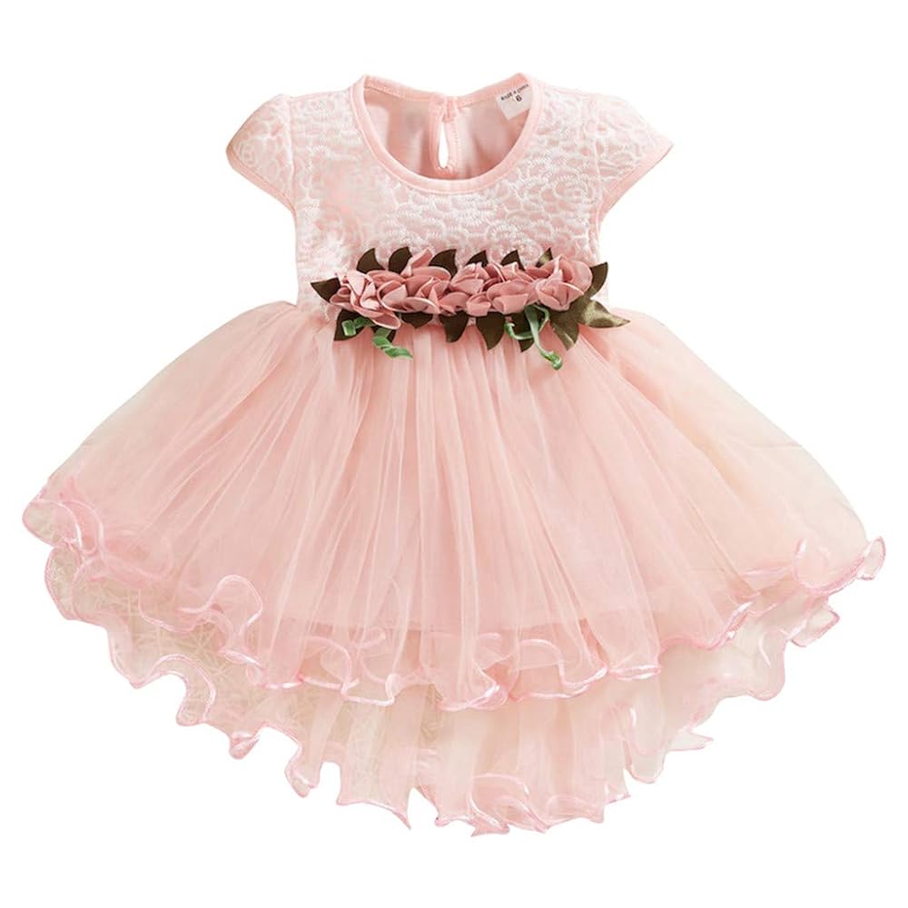 Amazon.com: KAGAYD Baby Girl Flower Dress Lace Tutu Dress